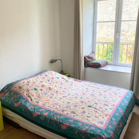 Apartment Chez Nellane - - Hypercentre