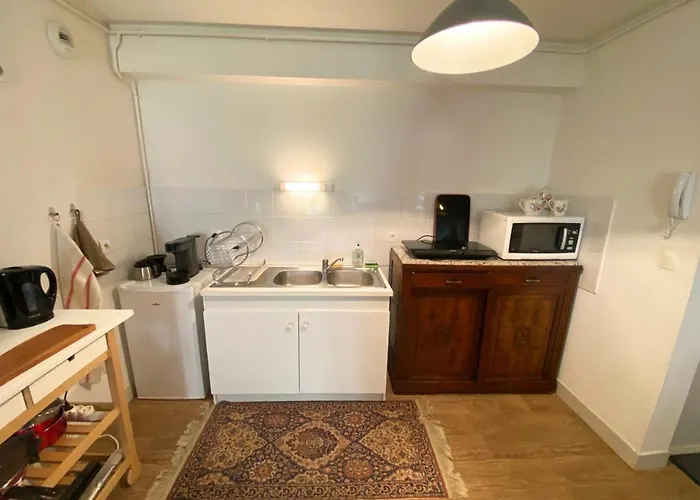 Lejlighed Chez Nellane - - Hypercentre - Laconciergerie *